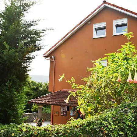 O Mencer Do Camino セー