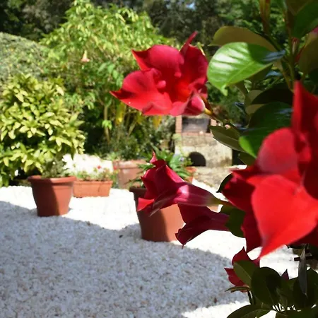 Daire O Mencer Do Camino Cee